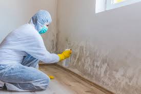 Professional Mold Prevention & Removal  in Huntington, WV